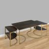 38 inch Rectangle Metal Nesting Coffee Table - 3 pcs set; Black and Gold; DunaWest - Default