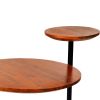 Geo Collection 21 Inch Round Acacia Wood Accent End Table with 2 Tier Tabletops; Brown; Black; DunaWest - Default