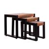 Rectangular Reclaimed Wood Nesting Side Table with Metal Base; Set of 3; Brown; Black; DunaWest - Default